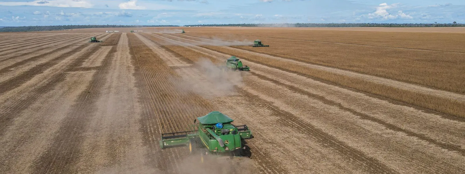 Aerial view of a soybean harvest with combines working the field