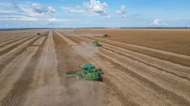 Aerial view of a soybean harvest with combines working the field