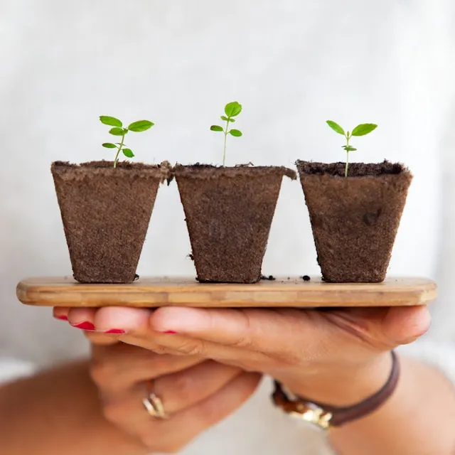 Stripe Climate - Sustainability