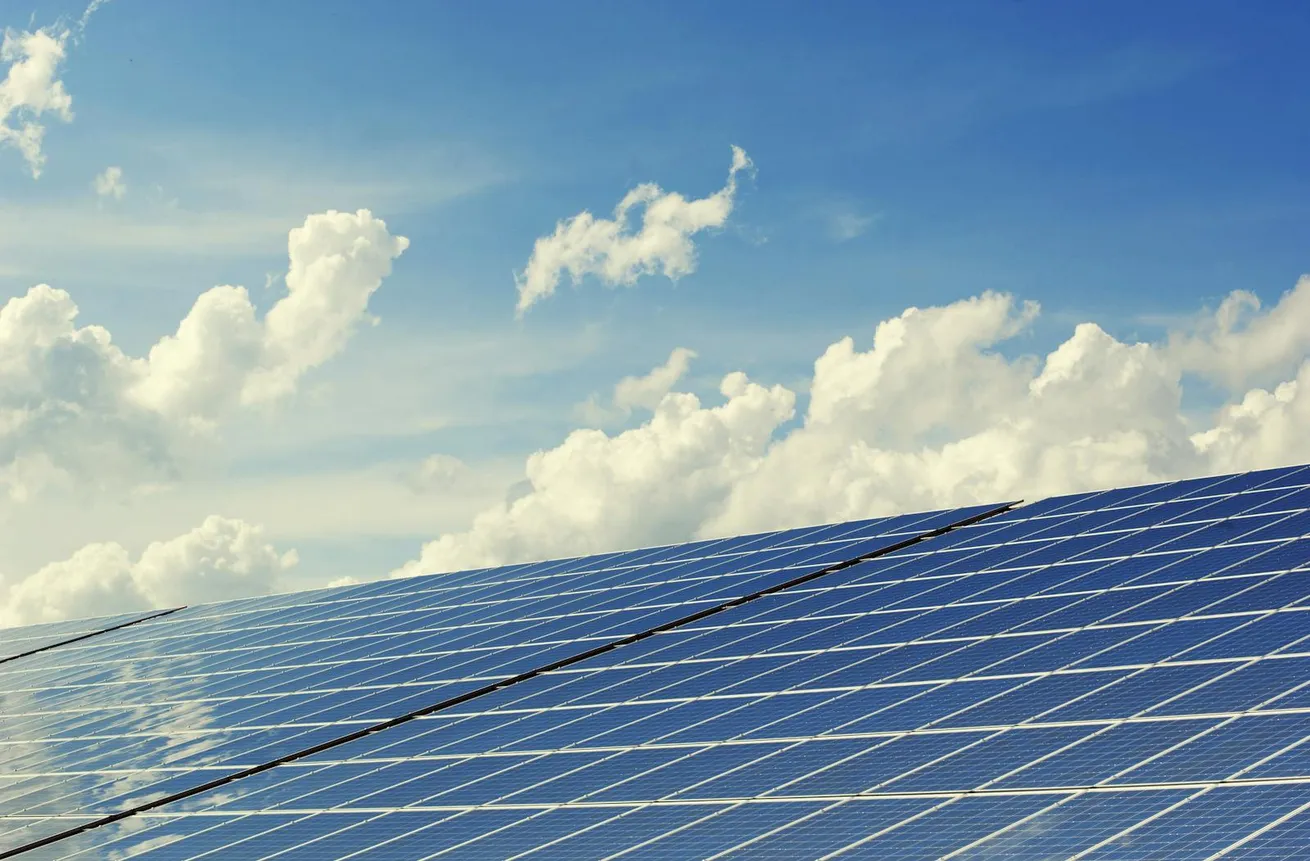 Assinatura digital e ESG: como contribuir para a sustentabilidade com o Signater