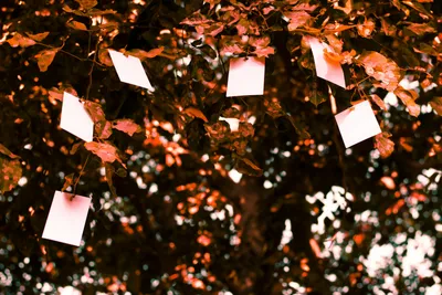 7 motivos para abandonar de vez o papel na sua empresa